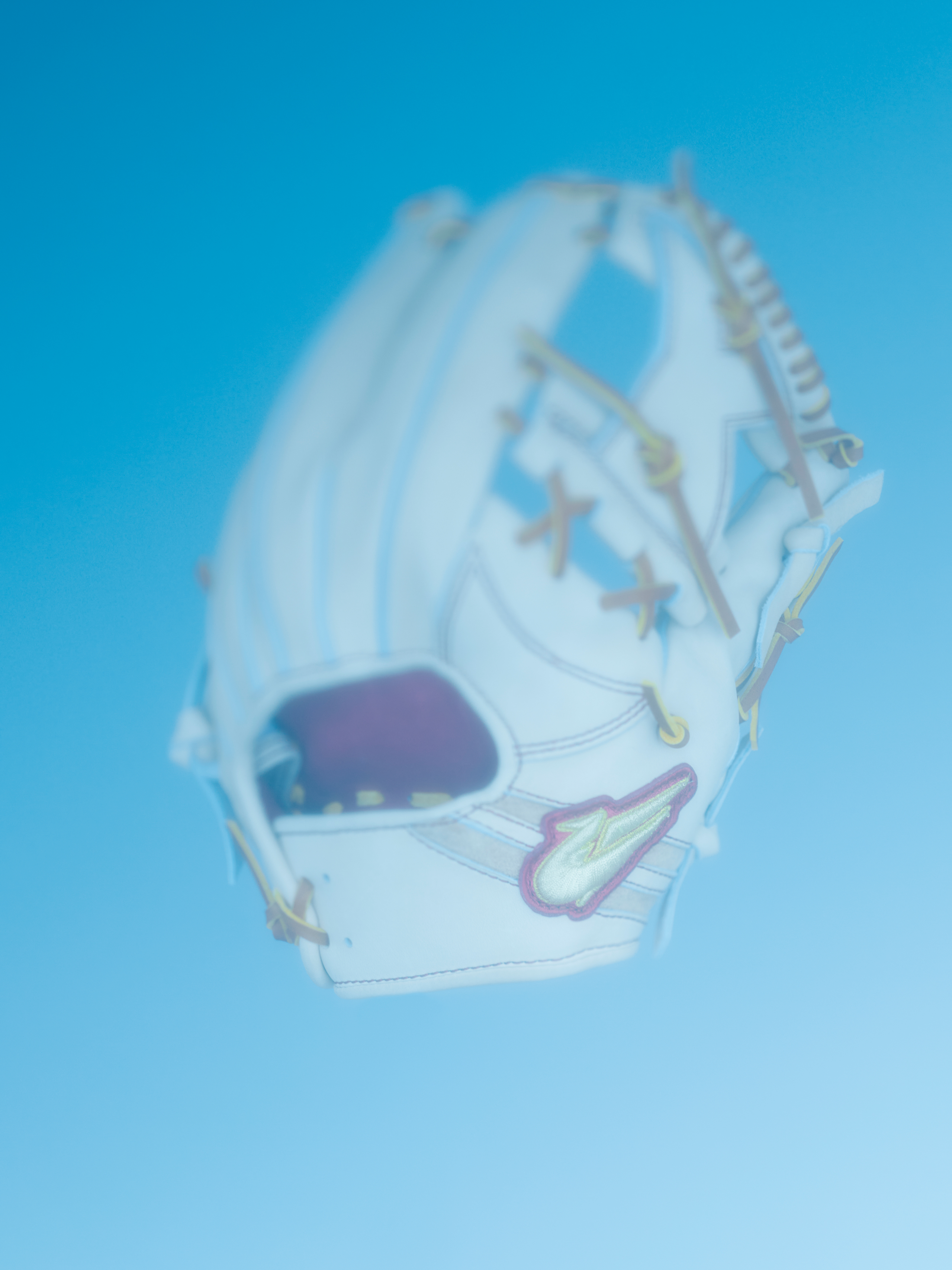 グローブ